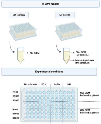 Modeling the effects of prebiotic interventions on luminal and mucosa-associated gut microbiota without and with Clostridium difficile challenge in vitro